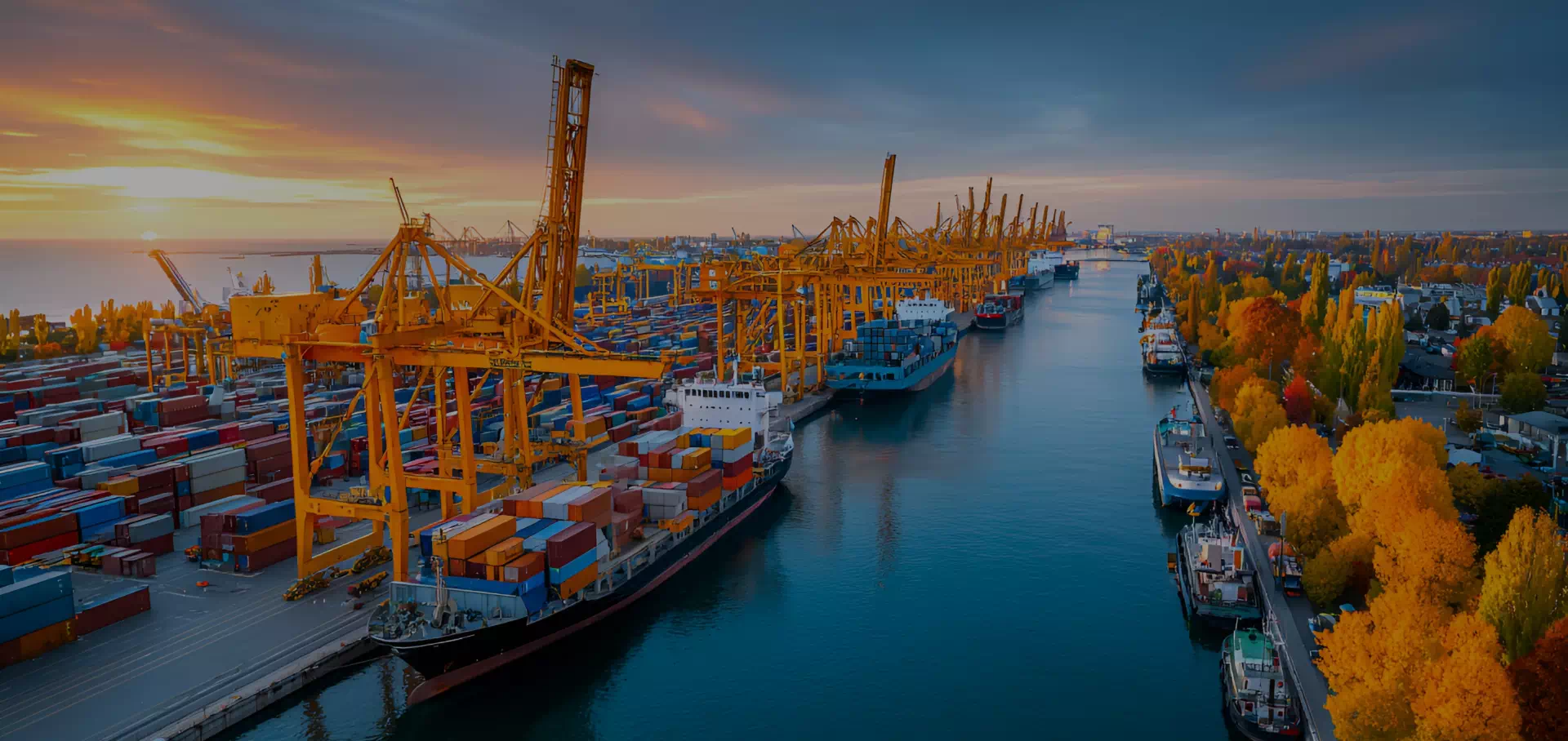 Strength Meets Tech – Zehua’s Cranes Power Progress!