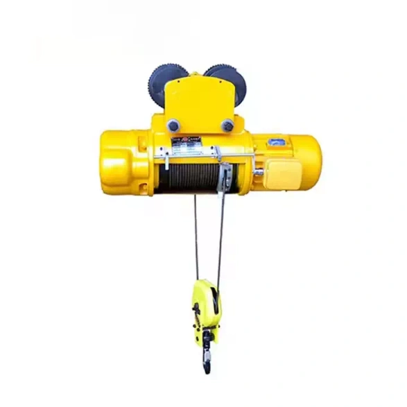 Wire rope hoist.webp