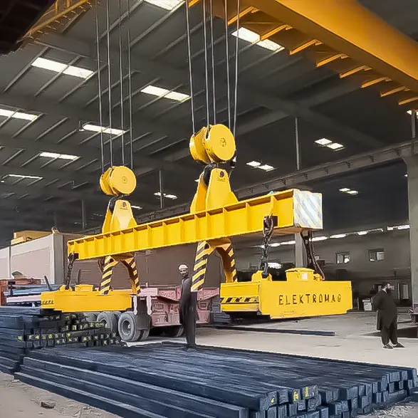 Double Girder Manget Overhead Crane.webp
