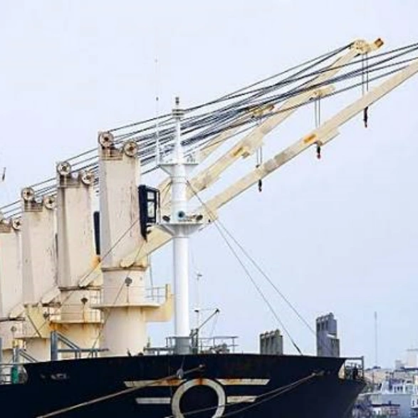 Cargo Deck Marine Crane.webp