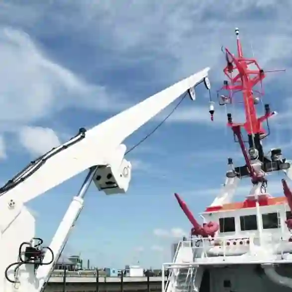 Stiff Boom Pedestal Cranes for Ships5.webp